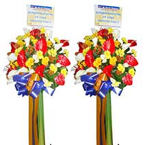 Color-coordinated Flowers