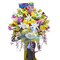 Blossoming Sensation