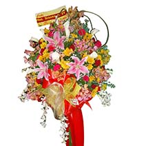 Captivating Sunshine