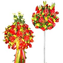 Delightful Selection