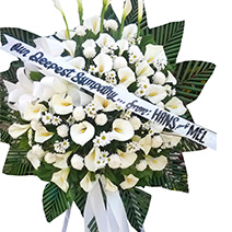 Comforting Sentiments